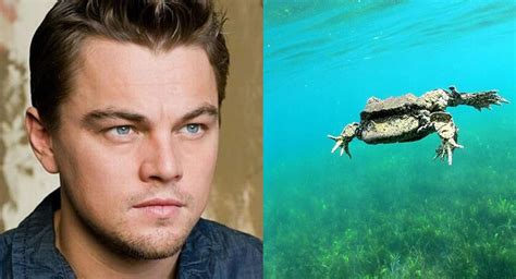 Leonardo DiCaprio se une a la campaña por la conservación de la rana