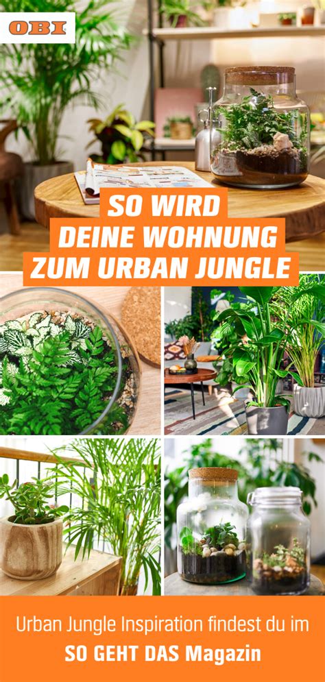 Du M Chtest Dein Wohnzimmer Oder Dein Schlafzimmer In Einen Indoor