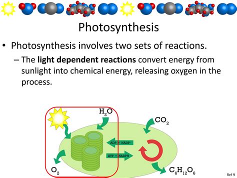 What Are The Reactants For Photosynthesis 8