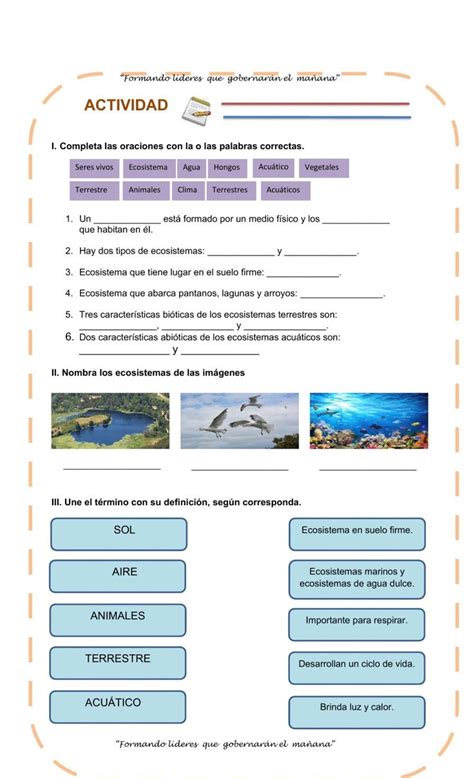 Ejercicio De Guia De Ciencias Naturales Ecosistema Tipos De