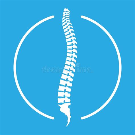 Human Spine Icon In The Circle Stock Vector Illustration Of Graphics