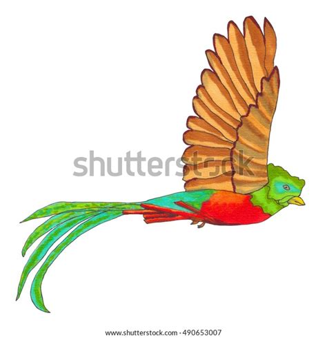 Quetzal Bird Flying Resplendent Quetzal Isolated Hand Drawn Illustration