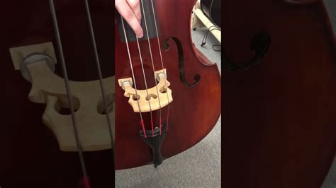 Eastman Vb 95 Upright Bass Carved Top At Fmi Basses Youtube