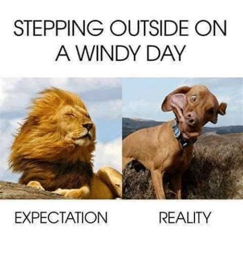 Windy Meme Discover more interesting Blowing, Hair, Lion, Storm memes ...