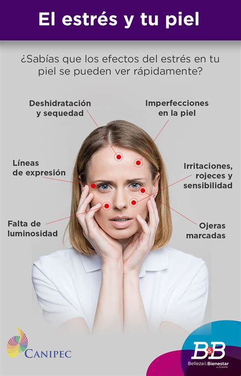 Infografia Cabello Belleza Bienestar De Canipec