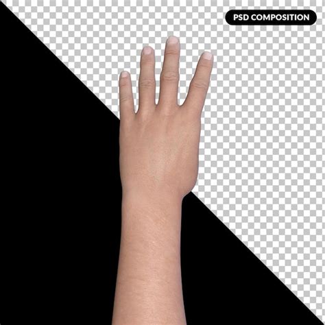 Premium Psd Hand Gesture 3d Rendering Isolated Premium Psd