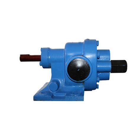 Positive Displacement Rotary Gear Pump at 10620.00 INR in Pune ...