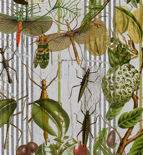 Insect Fabric Prints