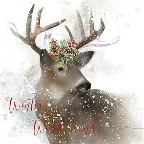 Carol Robinson Winter Wonderland Deer Keilrahmen Bild Leinwand Hirsch