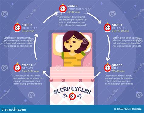 Schlafzyklus Infografiken Vektorbildungsplan Poster Vektor Abbildung