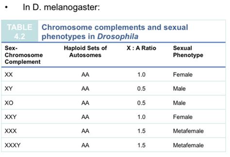 Topic 11 Sex Chromosomes And Linked Inheritance Flashcards Quizlet