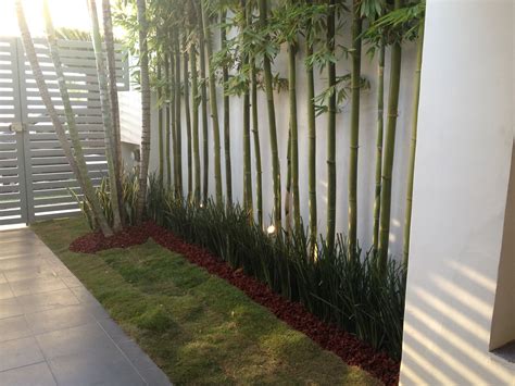 Decoracion Con Plantas De Bambu 20 Rincones Con Plantas Dentro De