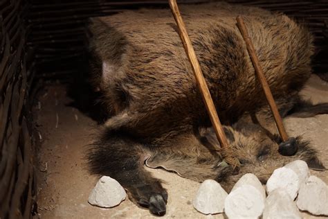 Muzeum Żup Krakowskich Wieliczka Kopalnia i Zamek Warzelnictwo