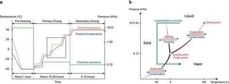 Freeze Drying Temperature Chart — Green Thumb Depot