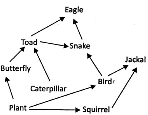 Wbbse Notes For Class General Science And Environment Chapter