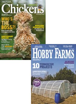 Subscribe to Chickens and Hobby Farms Print Magazine Combo - Hobby Farms