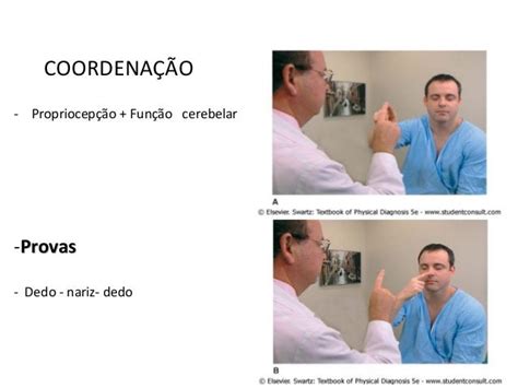 Teste Index Nariz - Neurologico