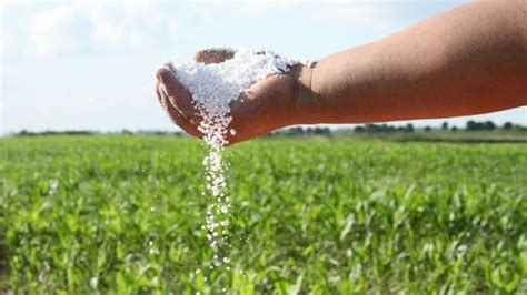 El Gobierno Oficializó La Entrega De Urea Fertilizante A Productores De