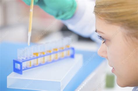 Lab Assistant Using Pipette Stock Image F011 4401 Science Photo