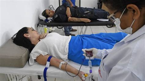 Hemosul precisa de doações de sangue tipo O e O Servidor Público