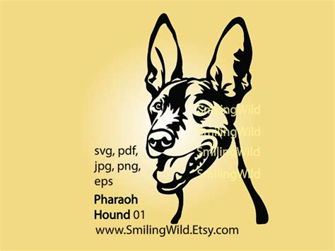 Pharaoh Hound Dog Svg Vector Cuttable File, Dog Face Template, Pharaoh ...