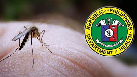 Kaso Ng Dengue Sa Bansa Tumaas