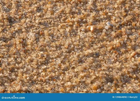 Close Up Macro Of Grains Of Sand On A Beach Stock Photo Image Of