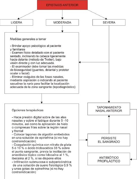 Figure From Epistaxis Consideraciones Sobre El Tratamiento Cl Nico Y