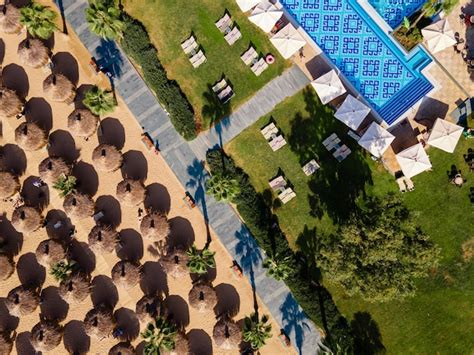 Premium Photo | Aerial view of a beach with beach chairs and palm trees ...