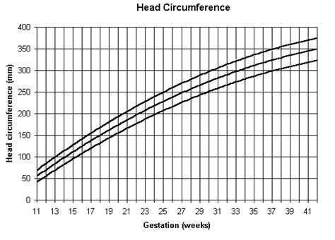 Fetal Growth Chart Head Circumference A Visual Reference Of Charts