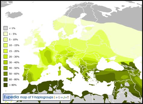 New map of Haplogroups E1b1b + G + J + T