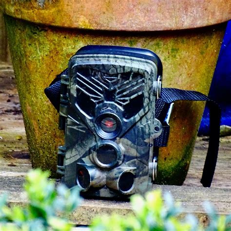 Observing nocturnal wildlife - Our Gardens Matter