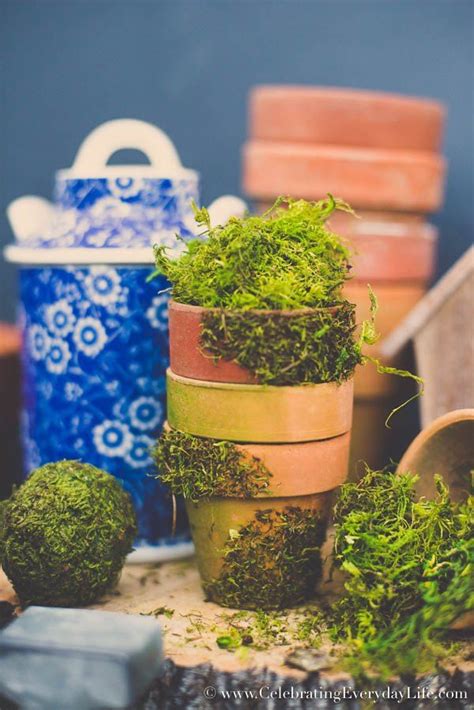 Diy Moss Covered Pots Tutorial Diy Plant Stand Flower Pots Mini Plants