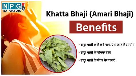 Khatta Bhaji Amari Bhaji Benefits छत्तीसगढ़ में गर्मियों में खूब शौक