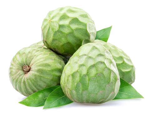 Custard Apples Or Cherimoya Fruits And Slice Of Fruit Isolated On White