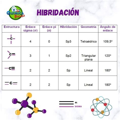 Hibridaci N Sp Qu Mica En Casa