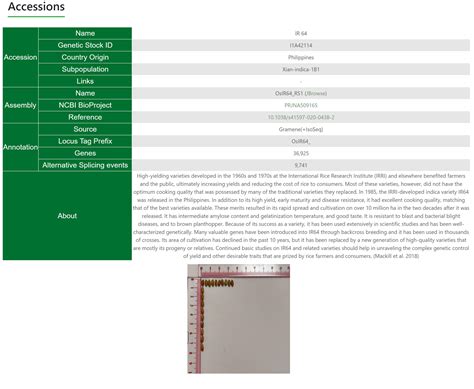 Rice Gene Index Rgi A Comprehensive Pan Genome Database For