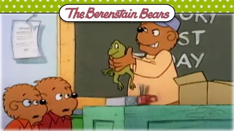 The School Project Do Your Schoolwork Berenstain Bears Official