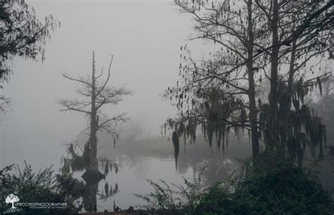 Tales Of Louisianas Rougarou That Will Send Chills Down Your Spine