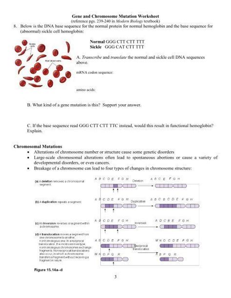 Gene And Chromosome Mutation Worksheet