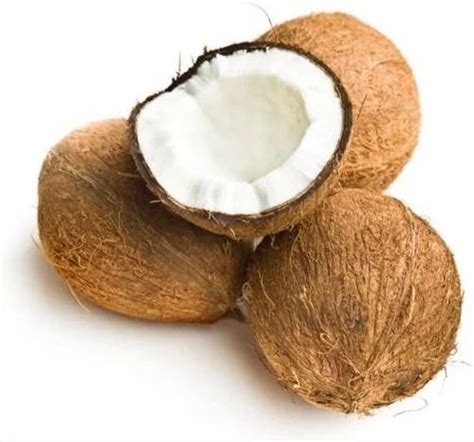 A Grade Solid Semi Husked Coconut Coconut Size Medium At Rs 30 Piece