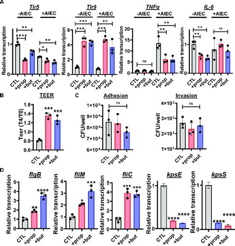 Propionate Or Butyrate Supplementation Decreases Inflammatory Gene