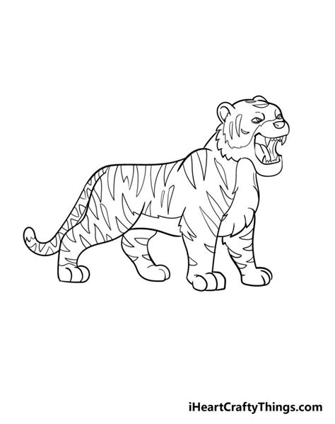 25 Easy Tiger Drawing Ideas - How to Draw a Tiger - Blitsy