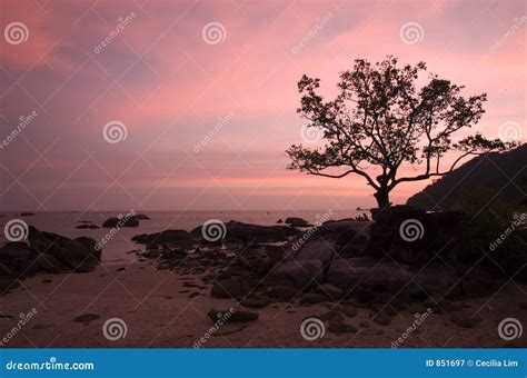 Romantic Sunset by the Beach Stock Image - Image of caucasian, romantic ...