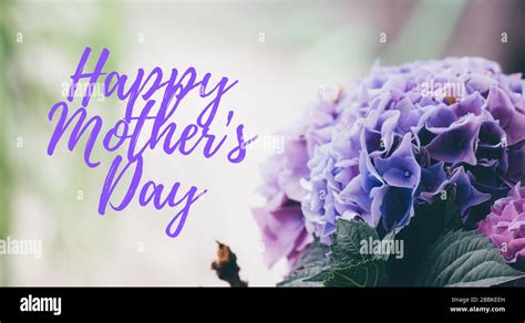 Happy Mothers Day Words Beautiful And Tender Bouquet Of Flowers In The