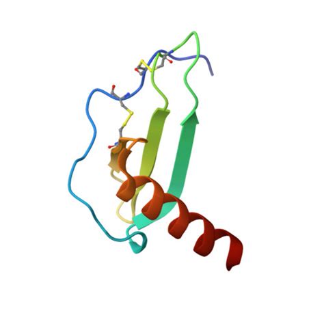 RCSB PDB 5D14 The Atomic Resolution Crystal Structure Of Human IL 8