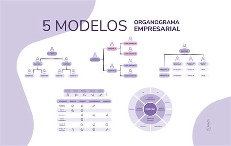 Organograma Empresarial Veja O Que E Modelos Para Implementar Hot Sex Porn Sex Picture