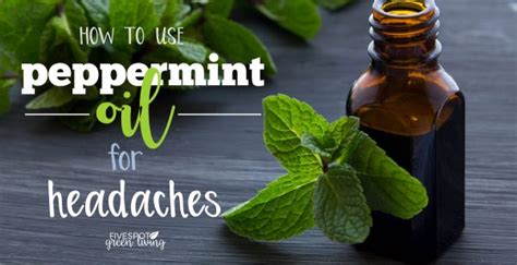 Does Peppermint Oil For Headaches Really Work Five Spot Green Living