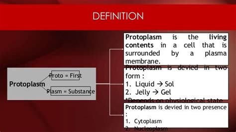 Introduction to Protoplasm