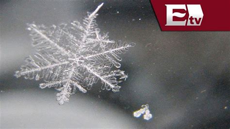 Impresionantes imágenes de copos de nieve / Tendencias de las redes ...